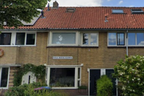 house image