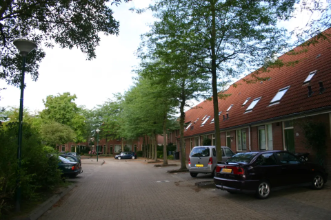 house image