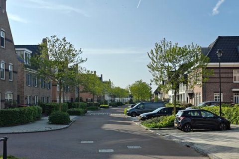 house image