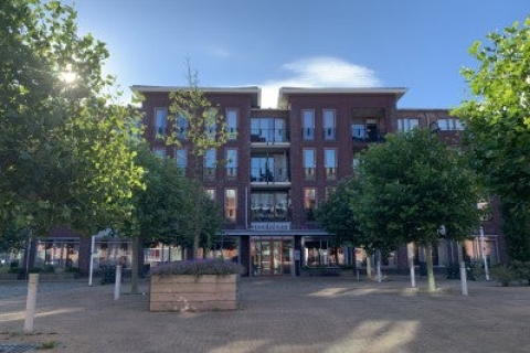 house image