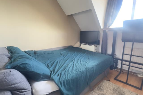 house image