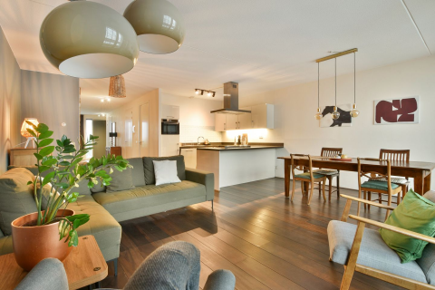 house image