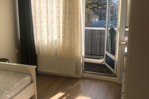 house image