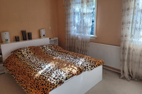 house image