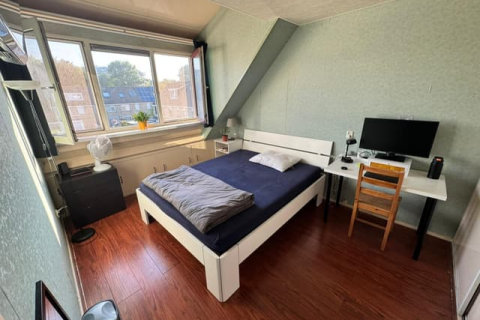 house image