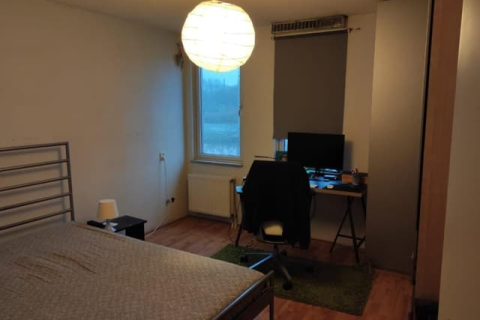 house image