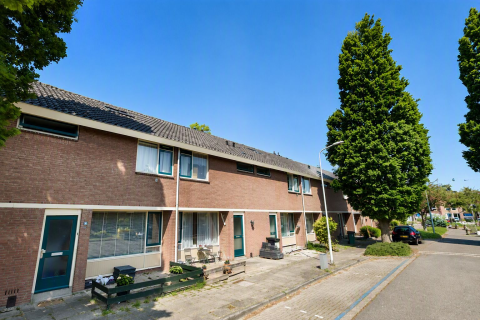 house image