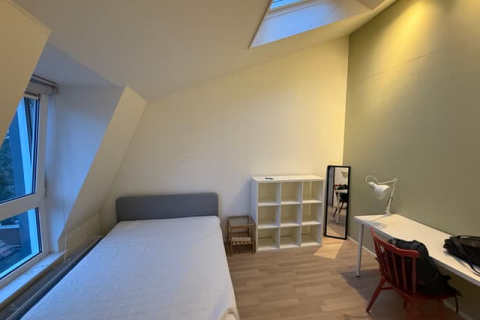house image