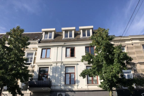 house image