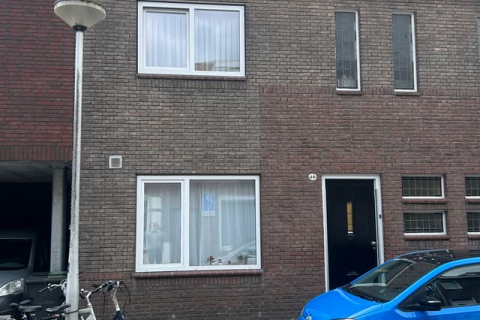 house image