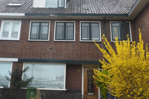 house image