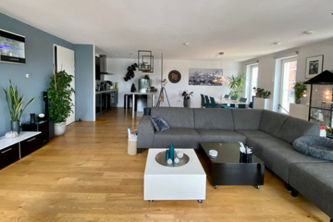 house image