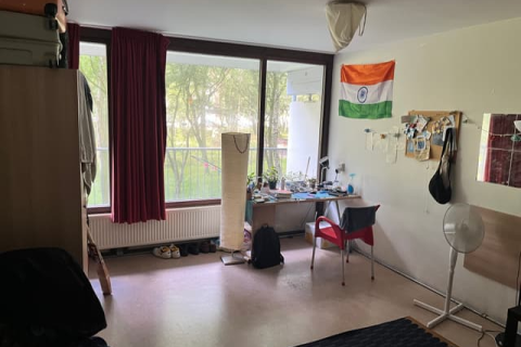 house image