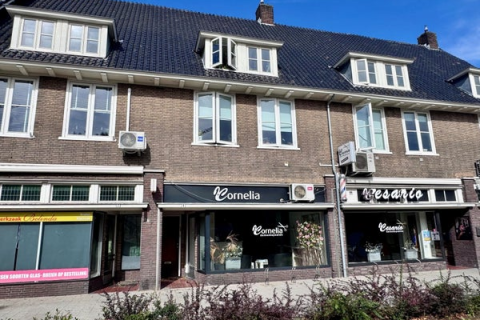 house image