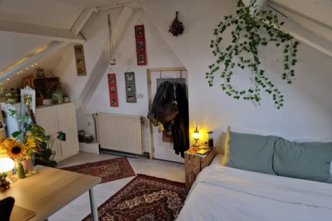 house image