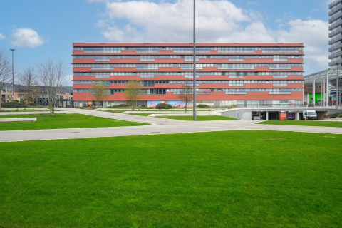 house image