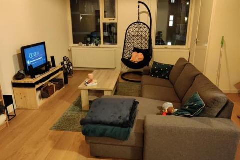 house image