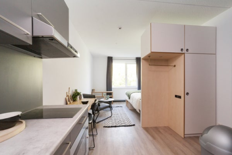 house image