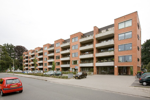 house image
