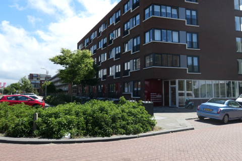 house image