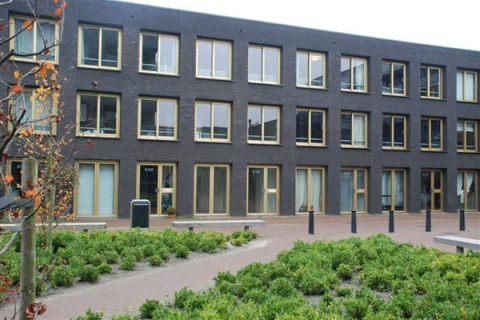 house image