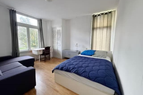 house image
