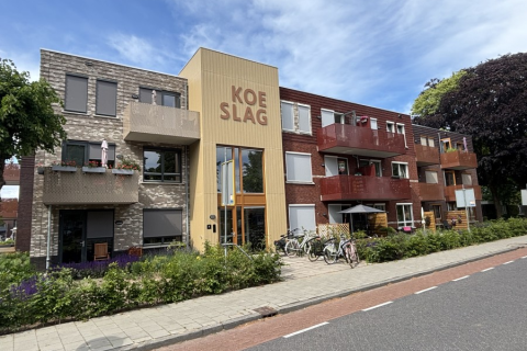 house image
