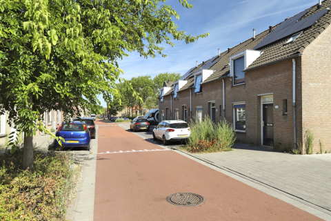 house image