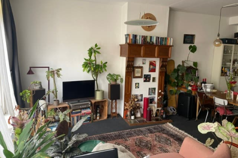 house image
