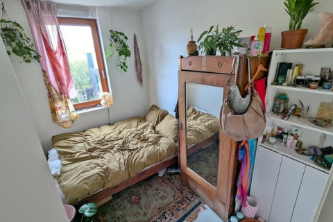 house image