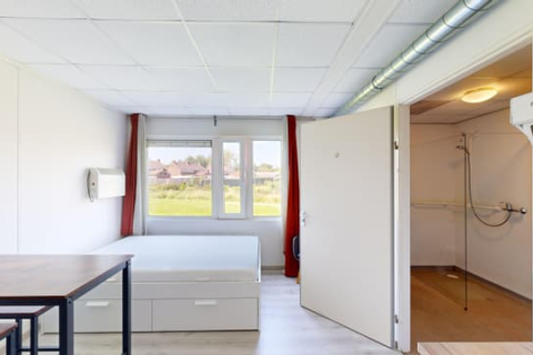 house image