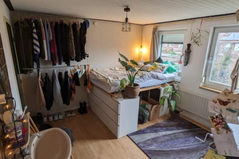 house image