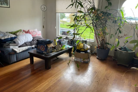 house image