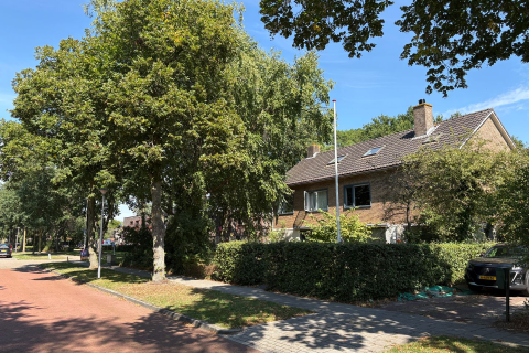house image