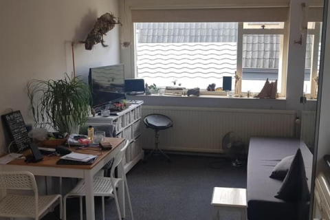 house image