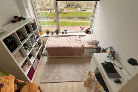 house image