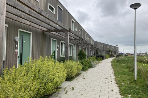 house image
