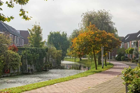 house image