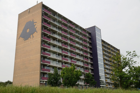 house image
