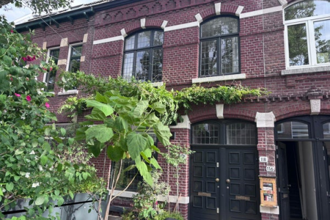 house image