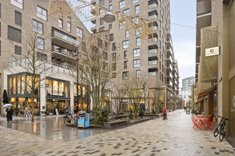 house image