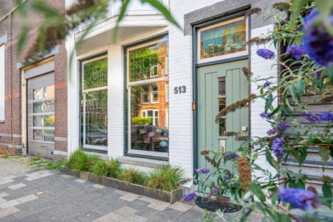 house image