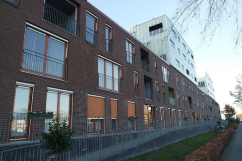 house image