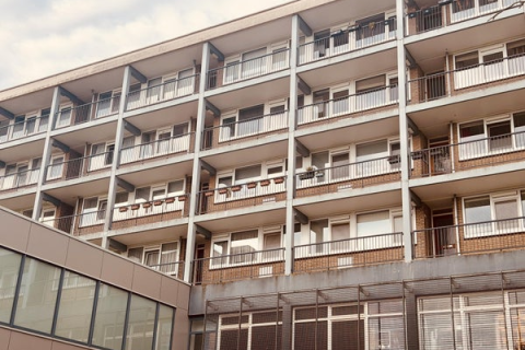 house image