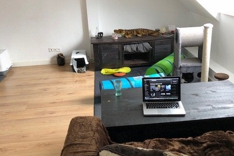 house image