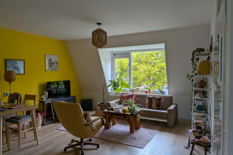 house image