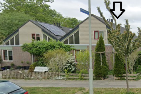 house image