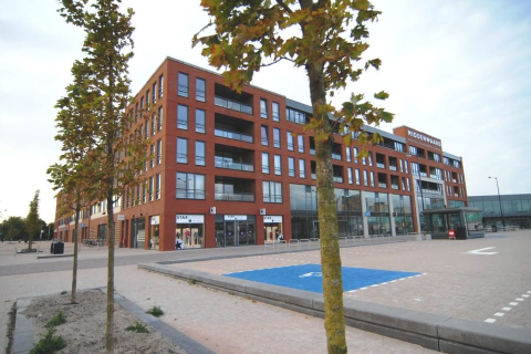 house image
