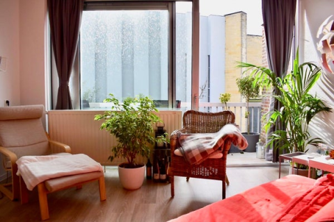 house image