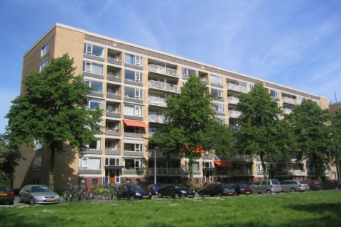 house image